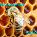 Animation 05/12/2025