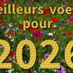Meilleurs voeux pour 2026
