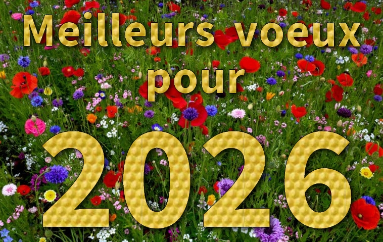 Lire la suite à propos de l’article Meilleurs voeux pour 2026