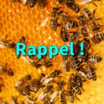 Renouvellement d&rsquo;adhésion