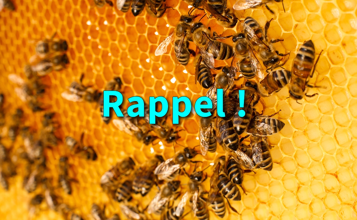 Lire la suite à propos de l’article Renouvellement d&rsquo;adhésion